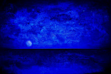 Load image into Gallery viewer, Moments To Fall . Original Light Reactive Painting