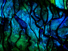 Load image into Gallery viewer, Submerged . Original Light Reactive Painting
