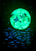 Load image into Gallery viewer, Earthworks 10