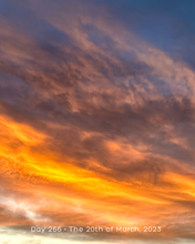 Load image into Gallery viewer, Day 266 • The 20th of March, 2023