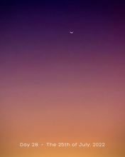 Load image into Gallery viewer, Day 28 • The 25th of July