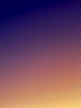 Load image into Gallery viewer, Day 116 • The 21st of October