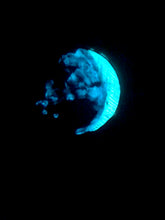Load image into Gallery viewer, The Many Moons Project . June 14th, 2021