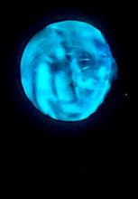 Load image into Gallery viewer, The Many Moons Project . June 26th, 2021