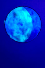 Load image into Gallery viewer, The Many Moons Project . June 28th, 2021