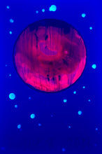 Load image into Gallery viewer, The Many Moons Project . August 8th, 2021