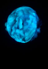 Load image into Gallery viewer, The Many Moons Project . June 27th, 2021