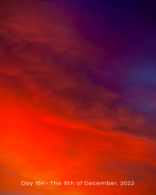 Load image into Gallery viewer, Day 164 • The 8th of December