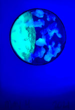 Load image into Gallery viewer, The Many Moons Project . May 4th, 2021