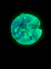 Load image into Gallery viewer, The Many Moons Project . April 27th, 2021