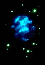 Load image into Gallery viewer, The Many Moons Project . July 8th, 2021