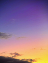 Load image into Gallery viewer, Day 103 • The 8th of October