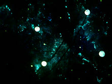 Load image into Gallery viewer, Find Your Destiny - Original Light Reactive Star Map