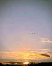 Load image into Gallery viewer, Day 18 • The 15th of July