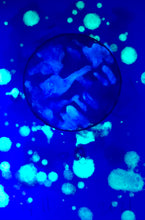 Load image into Gallery viewer, The Many Moons Project . May 11th, 2021