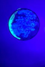 Load image into Gallery viewer, The Many Moons Project . June 7th, 2021