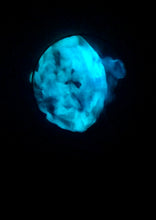 Load image into Gallery viewer, The Many Moons Project . June 28th, 2021