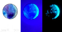 Load image into Gallery viewer, The Many Moons Project . June 14th, 2021