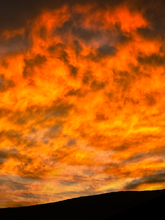 Load image into Gallery viewer, Day 133 • The 7th of November