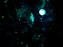 Load image into Gallery viewer, Find Your Destiny - Original Light Reactive Star Map