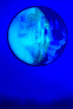 Load image into Gallery viewer, The Many Moons Project . April 30th, 2021