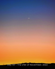 Load image into Gallery viewer, Day 147 • The 21st of November