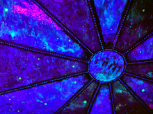 Load image into Gallery viewer, Future Past - Original Light Reactive Painting