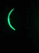 Load image into Gallery viewer, The Many Moons Project . June 8th, 2021