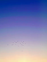 Load image into Gallery viewer, Day 23 • The 20th of July