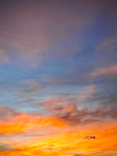 Load image into Gallery viewer, Day 14 • The 11th of July