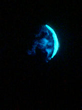 Load image into Gallery viewer, The Many Moons Project . June 13th, 2021