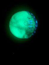 Load image into Gallery viewer, The Many Moons Project . April 28th, 2021