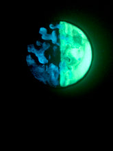 Load image into Gallery viewer, The Many Moons Project . April 19th, 2021