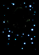 Load image into Gallery viewer, The Many Moons Project . August 9th, 2021