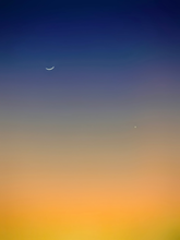 Load image into Gallery viewer, Day 59• The 25th of August
