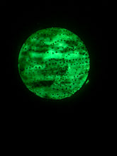 Load image into Gallery viewer, The Many Moons Project . May 25th, 2021