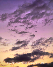 Load image into Gallery viewer, Day 72 • The 7th of September