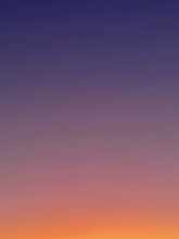 Load image into Gallery viewer, Day 198 • The 11th of January, 2023