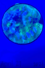 Load image into Gallery viewer, The Many Moons Project . April 27th, 2021