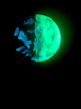 Load image into Gallery viewer, The Many Moons Project . April 20th, 2021