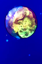 Load image into Gallery viewer, The Many Moons Project . August 3rd, 2021