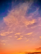 Load image into Gallery viewer, Day 81 • The 16th of September