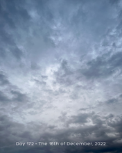 Load image into Gallery viewer, Day 172 • The 16th of December
