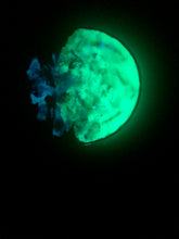 Load image into Gallery viewer, The Many Moons Project . April 24th, 2021