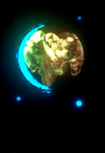 Load image into Gallery viewer, The Many Moons Project . August 6th, 2021