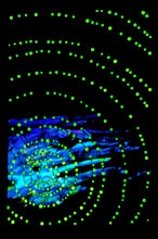 Load image into Gallery viewer, Sunrise Day 4