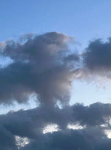 Load image into Gallery viewer, Day 137 • The 11th of November