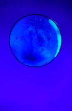 Load image into Gallery viewer, The Many Moons Project . June 12th, 2021