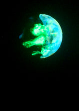 Load image into Gallery viewer, The Many Moons Project . August 14th, 2021