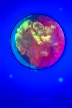 Load image into Gallery viewer, The Many Moons Project . August 6th, 2021